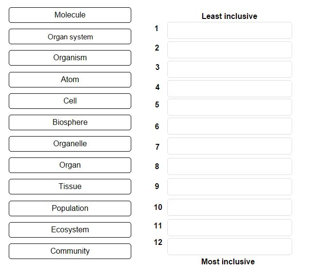Levels Of Biological Organization From Least Inclusive To Most