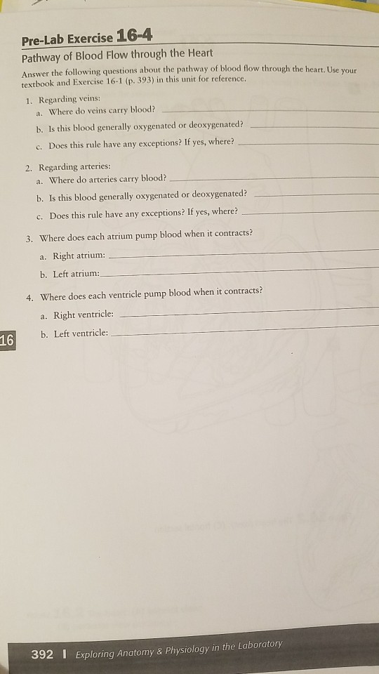 Solved Pre-Lab Exercise 16-4 Pathway of Blood Flow through | Chegg.com
