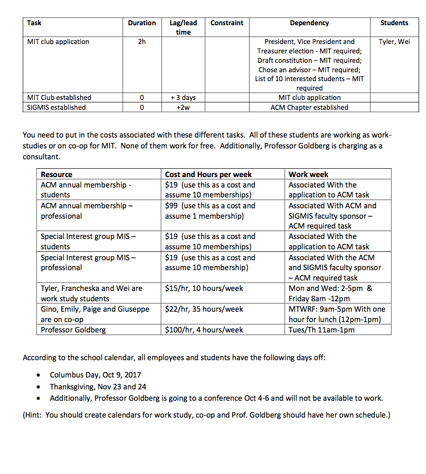 ms project assignment example