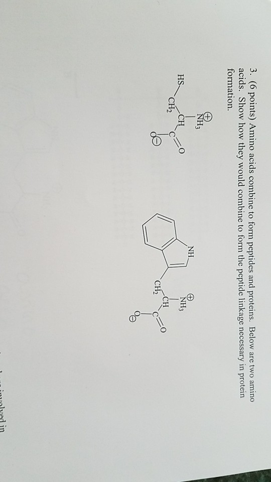 Solved 3. (6 points) Amino acids combine to form peptides