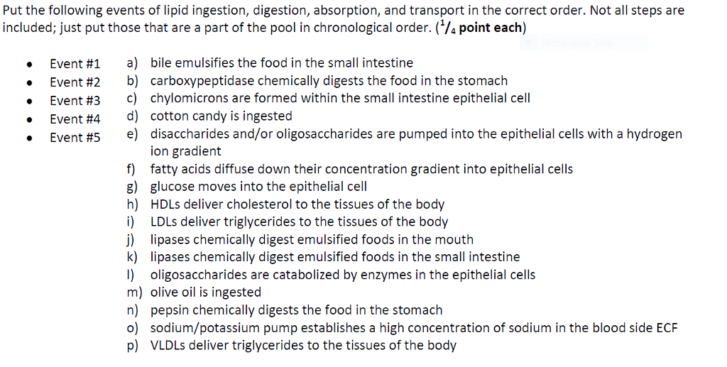 Solved Put the following events of lipid ingestion, | Chegg.com