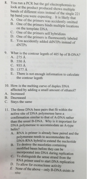 Solved You Run A PCR But The Gel Electrophoresis To Look At Chegg Com   Image