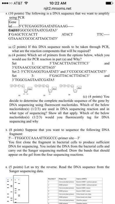 Solved The following is a DNA sequence that we want to | Chegg.com