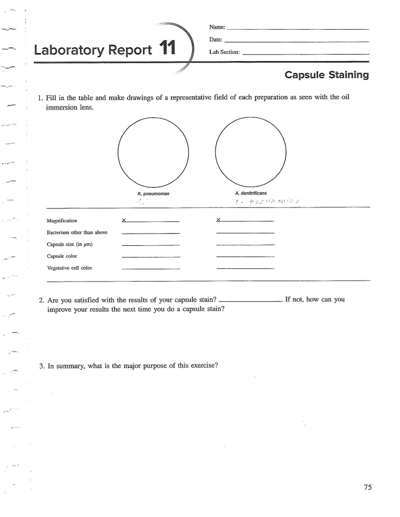Solved Microbiology In lab, we conducted "Capsule