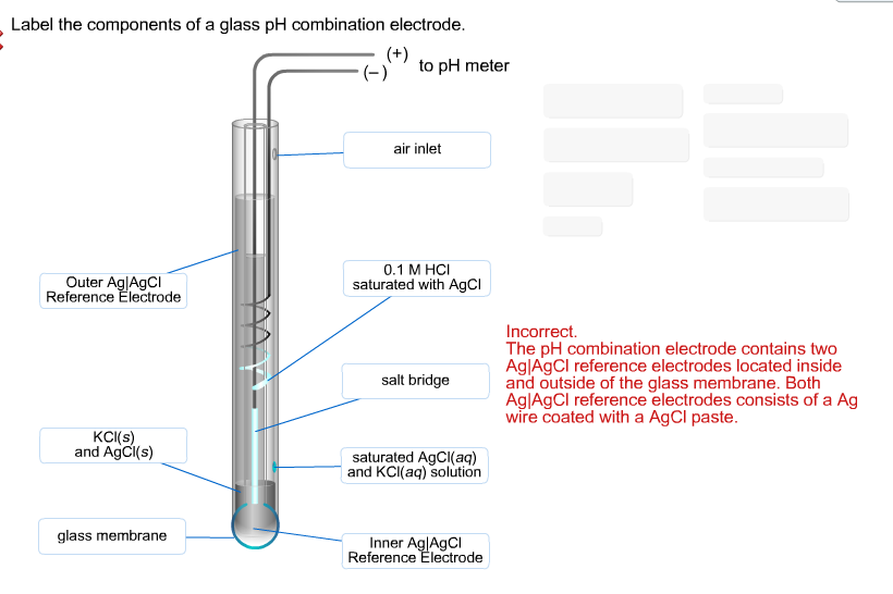 Solved Label the components of a glass pH combination | Chegg.com