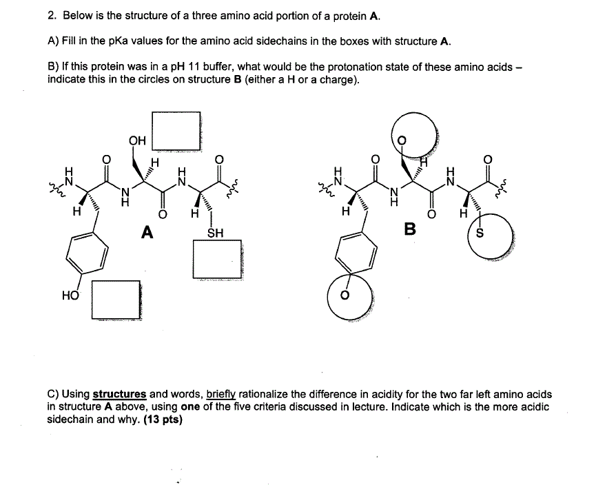 Solved Below is the structure of a three amino acid portion | Chegg.com