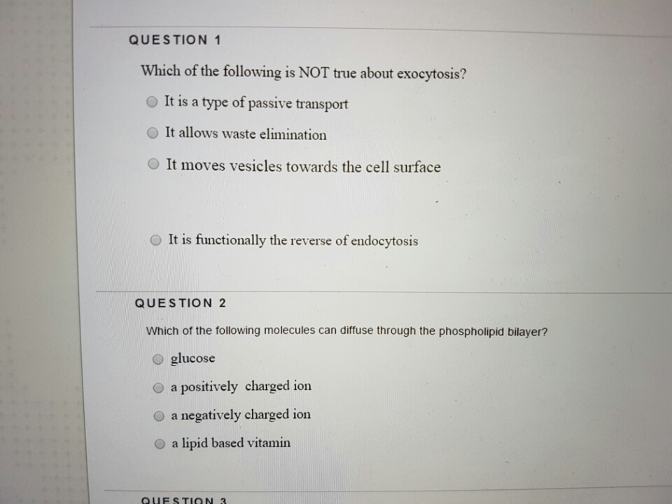 Solved QUESTION 1 Which Of The Following Is NOT True About | Chegg.com