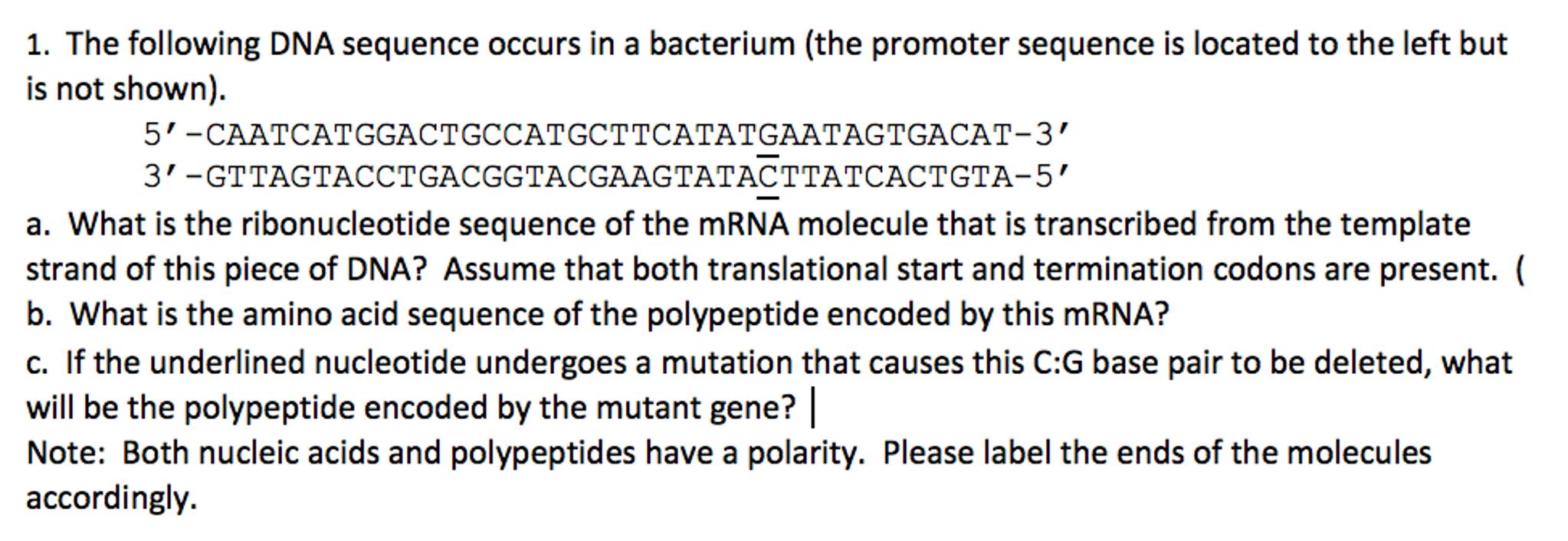 Solved The following DNA sequence occurs in a bacterium (the | Chegg.com