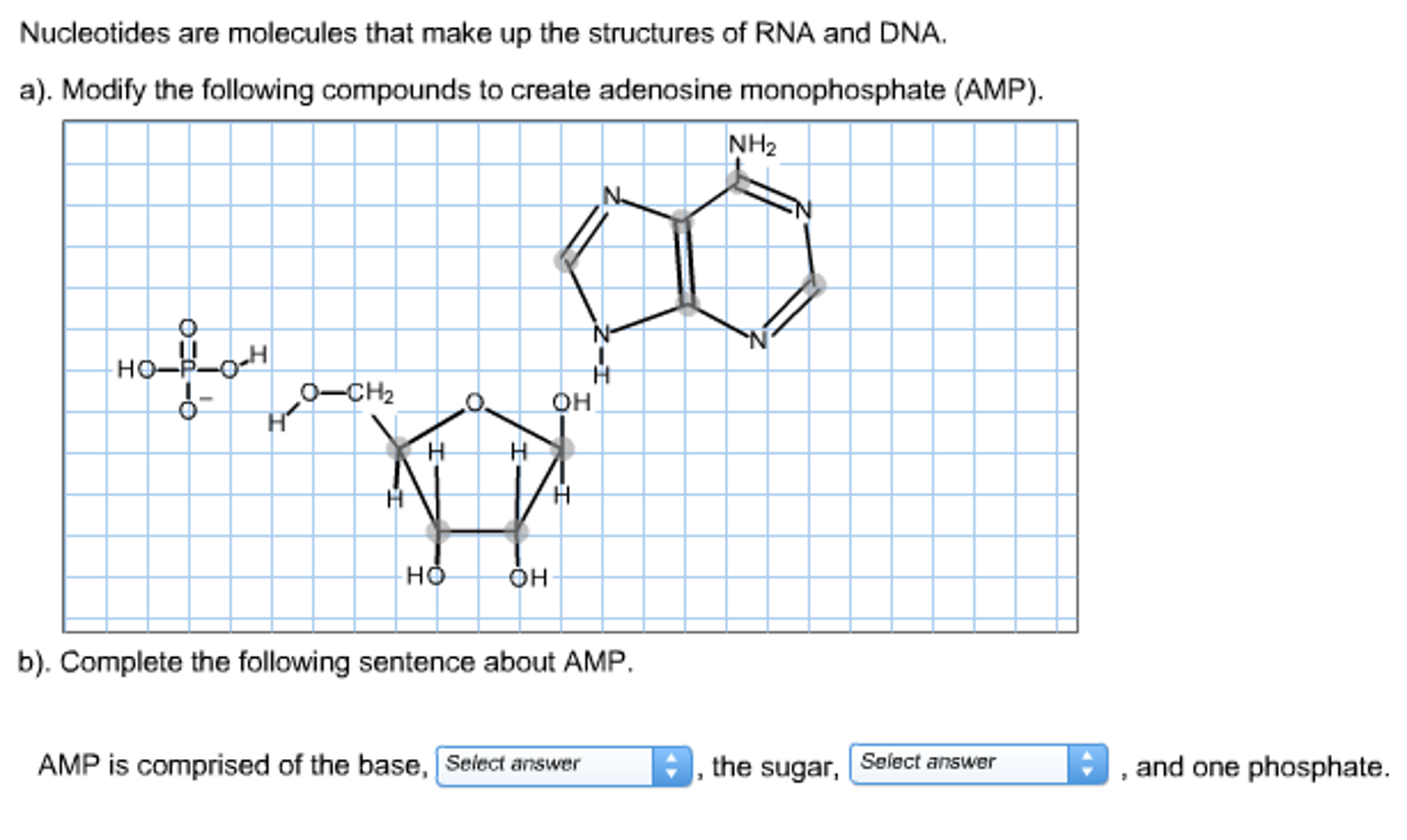 Solved Nucleotides are molecules that make up the structures | Chegg.com