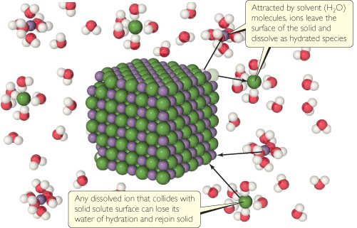 Solved What two processes are represented in this | Chegg.com