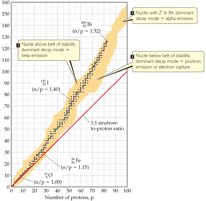 Radioactive Isotopes Have Stable Nuclei