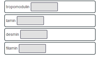 Solved Choose The Item On The Left That Best Matches Each Chegg Solved Choose The Item On The Left That Best Matches Each Chegg