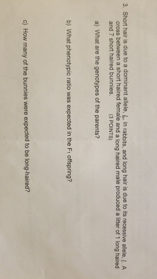 Solved 3. Short hair is due to a dominant allele, L, in | Chegg.com