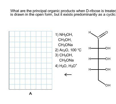 Solved i am confused how NH2OH should react with this | Chegg.com