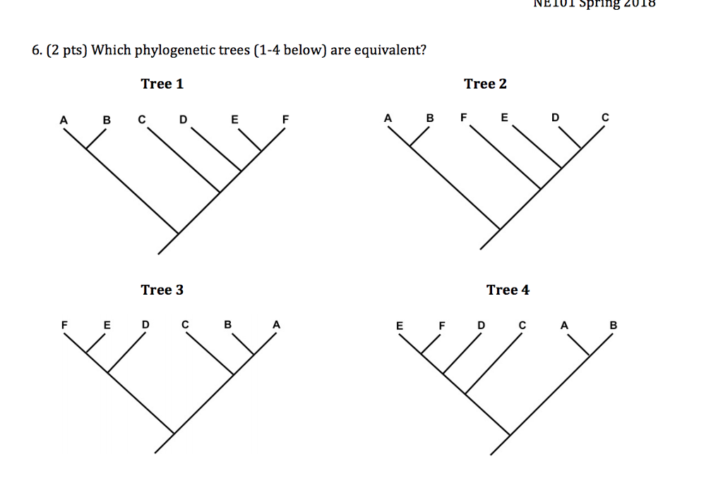 Solved NE1OL Sprin8 2018 6. (2 pts) Which phylogenetic trees | Chegg.com