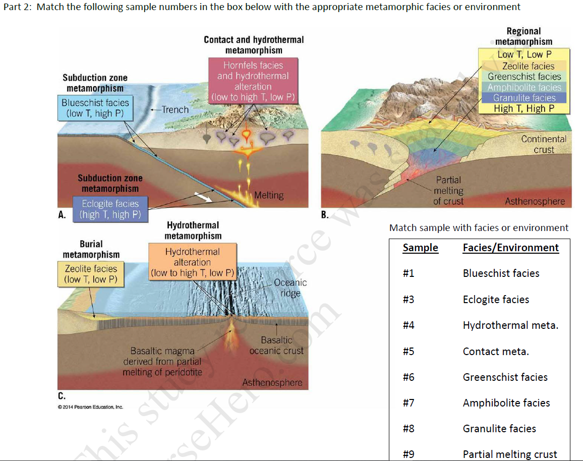 Solved Physical Geology Assignment 4 Metamorphic Rocks Part