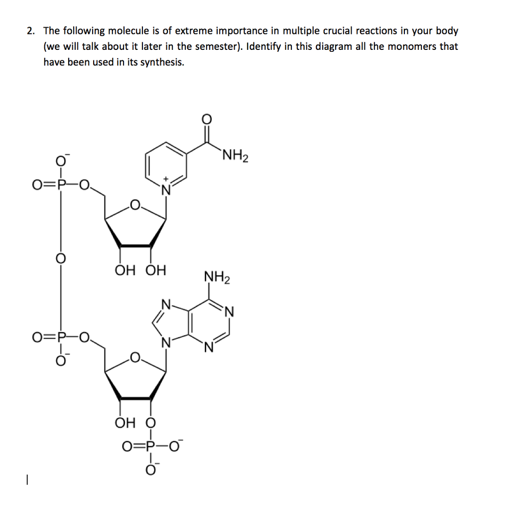 solved-the-following-molecule-is-of-extreme-importance-in-chegg