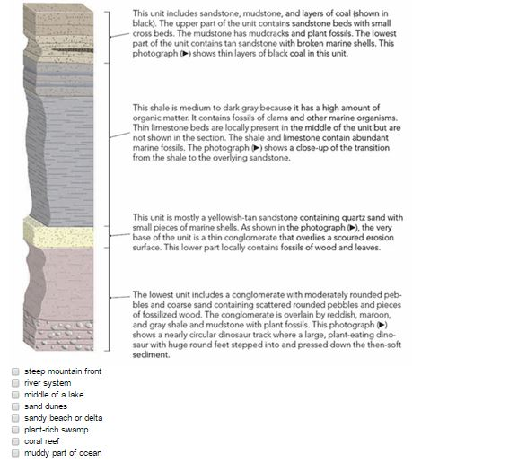 Solved Using the stratigraphic section and photographs | Chegg.com