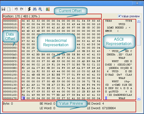 Solved I need to convert a text file into hexadecimal format | Chegg.com