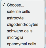 Solved Choose... support and brace neurons to nutrient blood | Chegg.com