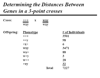 Solved Please EXPLAIN How To Find The Distance Between | Chegg.com