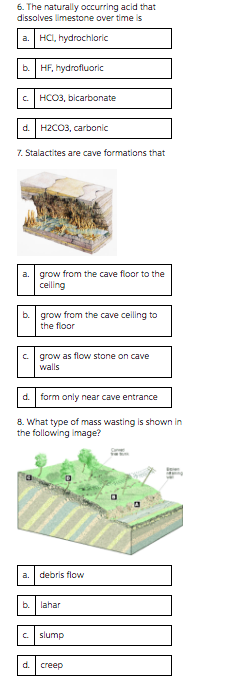 1 On the following diagram, which letter depicts the | Chegg.com