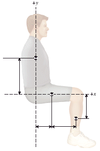Featured image of post Sitting Position Drawing In this blog post you will find the reasons why and 10 why does the position of the pelvis matter