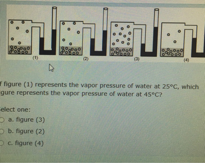 Solved Can someone help with these two questions? | Chegg.com