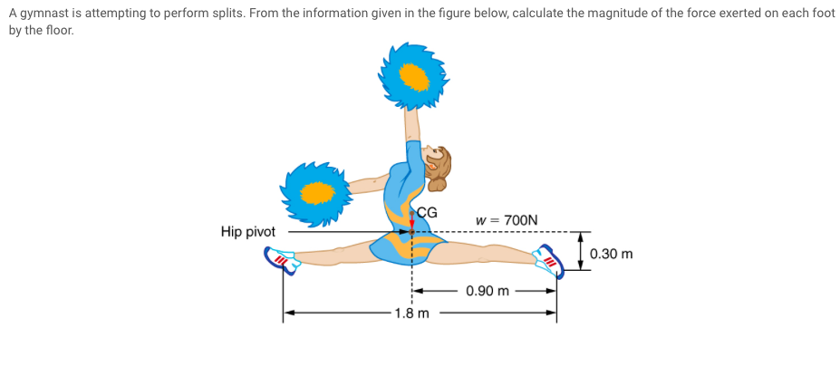 Split Force Calculation Example Solved A gymnast is attempting to perform splits. From the | Chegg.com