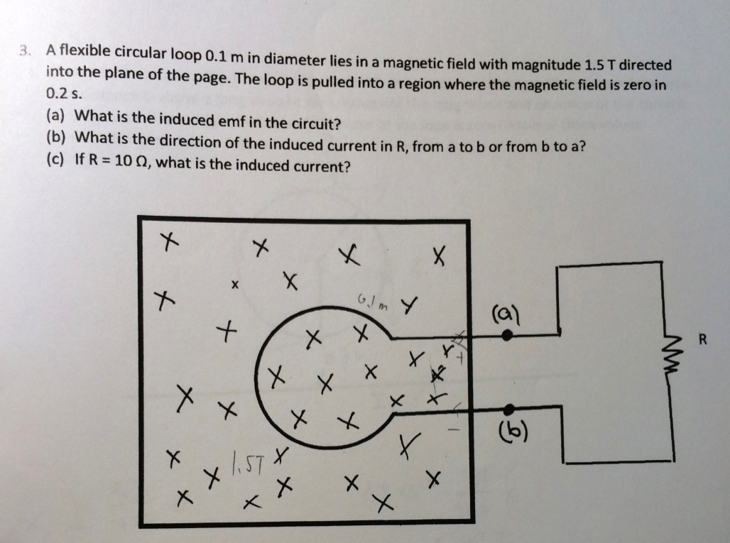 Solved A flexible circular loop 0.1 m in diameter lies in a