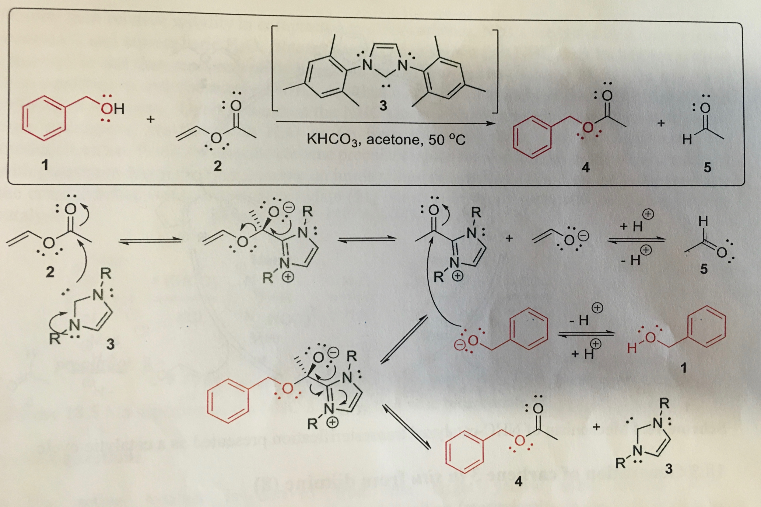 Solved A typical transesterification involves the reaction | Chegg.com