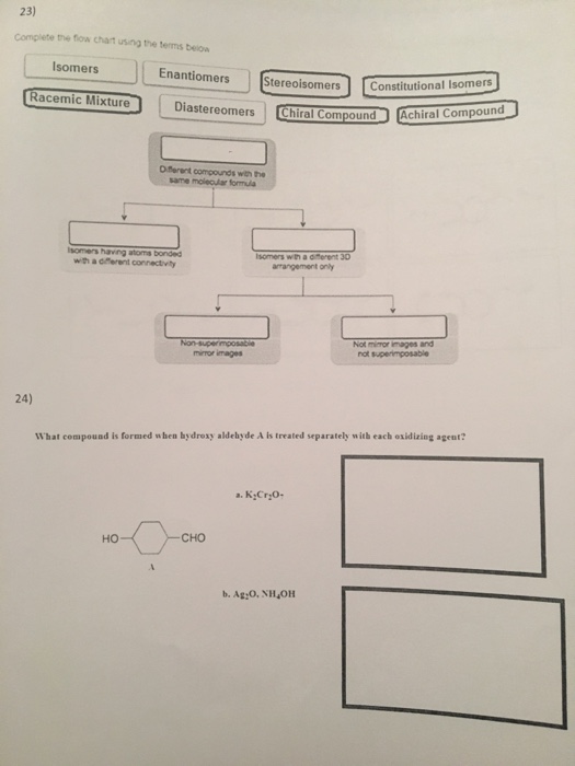 solved-complete-the-flow-chart-using-the-terms-below-what-chegg