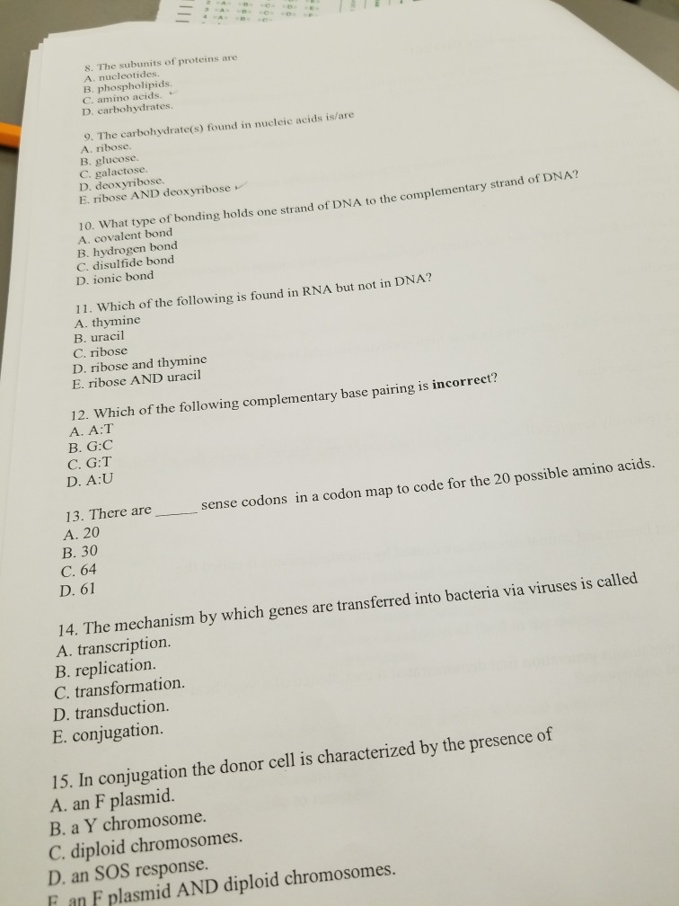 Solved 8. The subunits of proteins are A. nuclcotides. B.