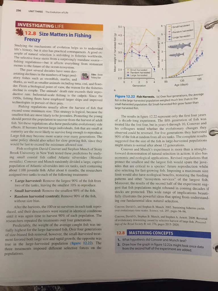 Solved Read "Investing Life Size Matters in Fishing