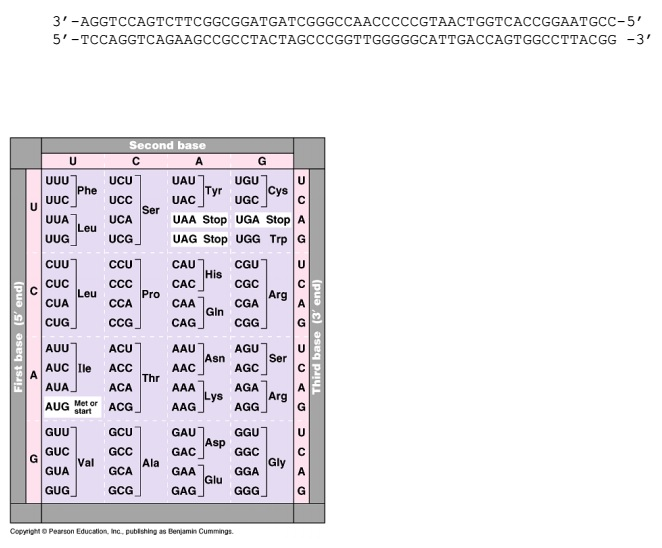 solved-9-why-do-we-say-that-the-genetic-code-is-degenerate-chegg