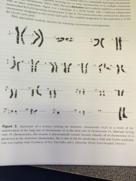 Solved he (der) is a structurally rearranged chromosome