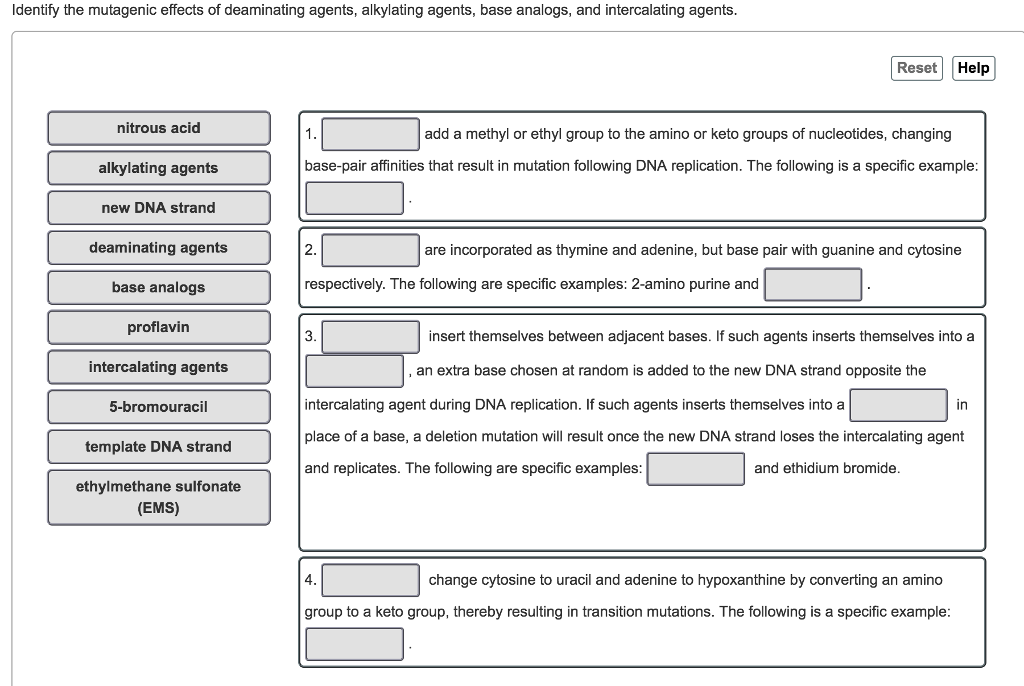 Solved Identify the mutagenic effects of deaminating agents, | Chegg.com