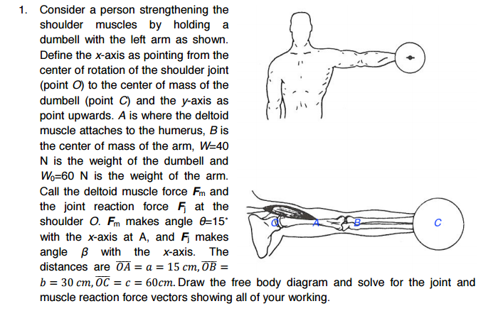 Solved Consider A Person Strengthening The Shoulder Muscles | Chegg.com