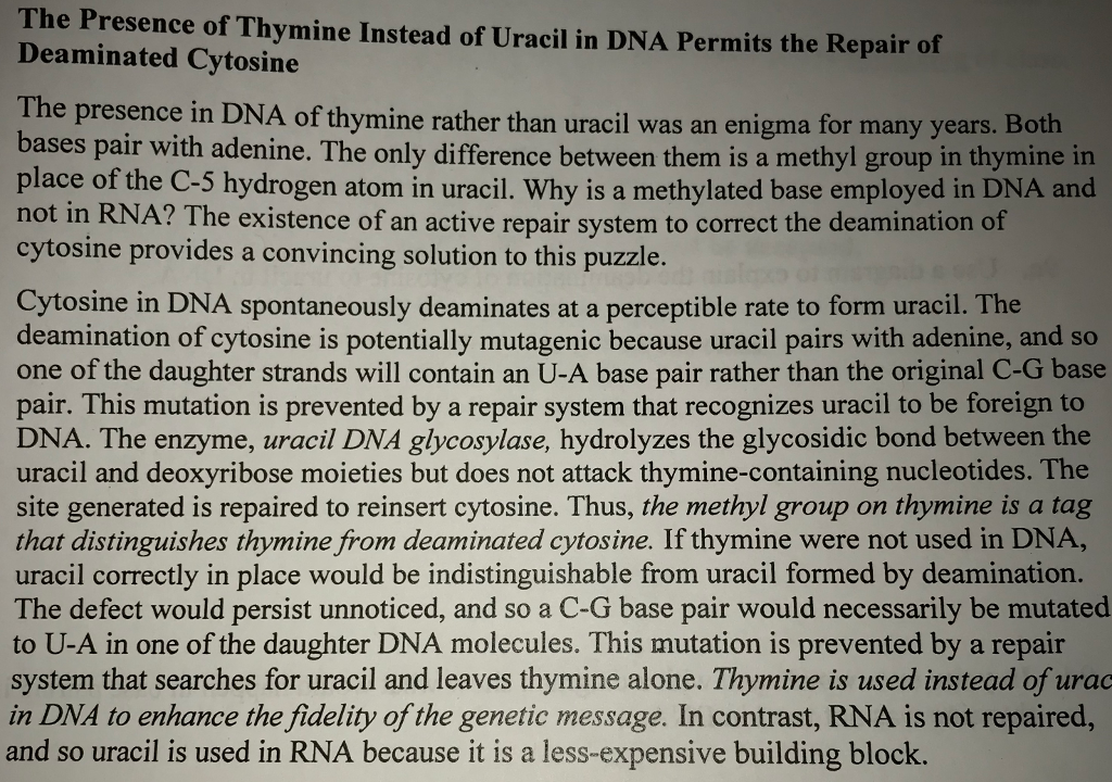 solved-the-presence-of-thymine-instead-of-uracil-in-dna-chegg