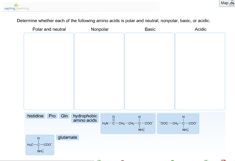 Solved Determine Whether Each Of The Following Amino Acid