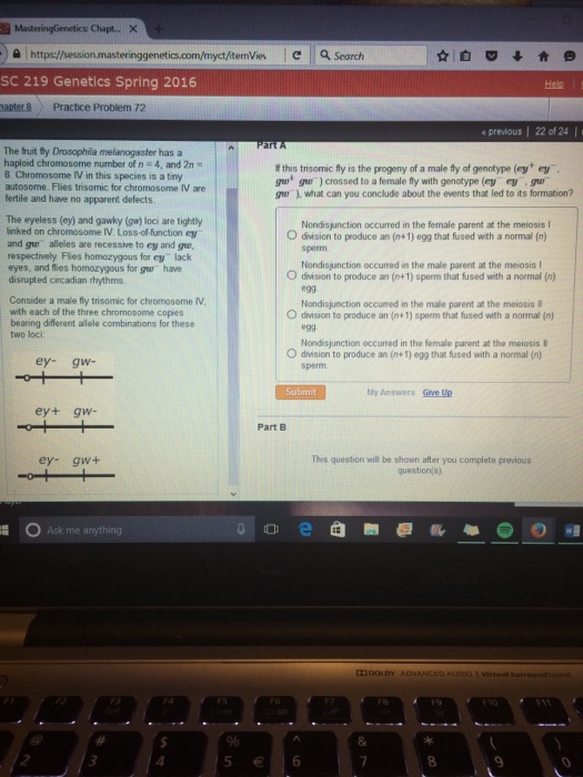 Solved The fruit fly Drosophila melanogaster has a haploid