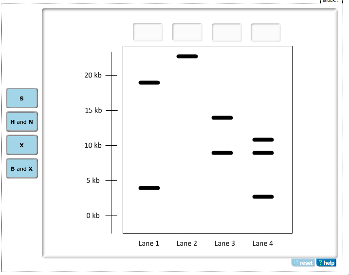 Solved Your group is a part of a research team that just | Chegg.com