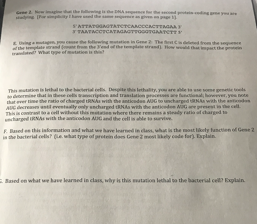 Solved Gene 2. Now Imagine That The Following Is The DNA | Chegg.com
