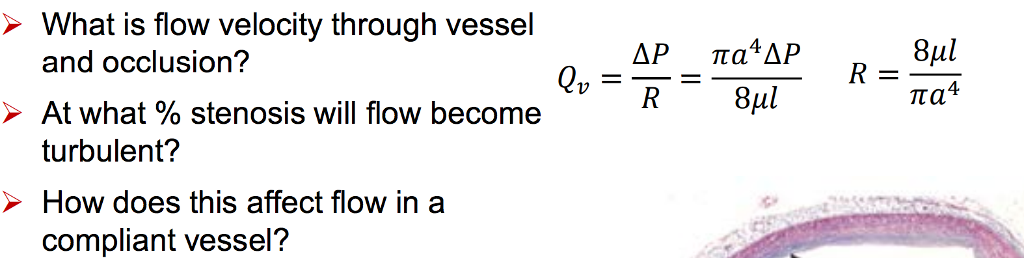 What is flow velocity through vessel and occlusion? | Chegg.com