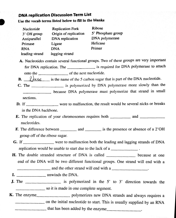 Solved Dna Replication Discussion Term List Use The Vocab 