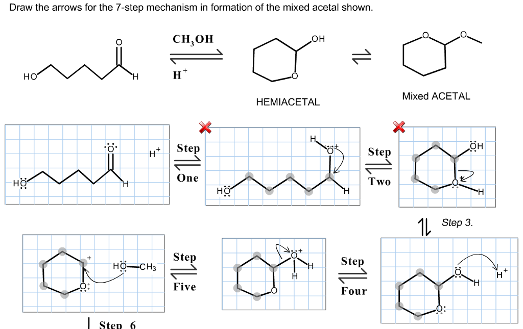 Solved Draw the arrows for the 7-step mechanism in formation | Chegg.com