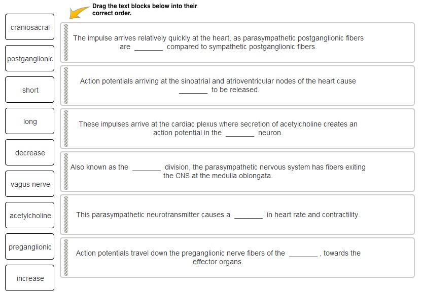 Solved Complete each sentence by dragging a word to the