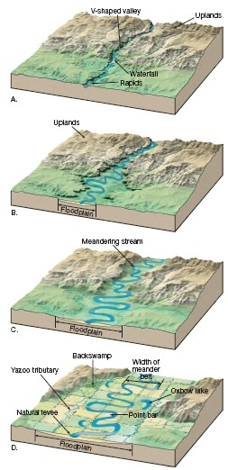 Solved These are developed by deposition on the inner bank | Chegg.com