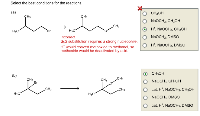 Select the best conditions for the reactions.