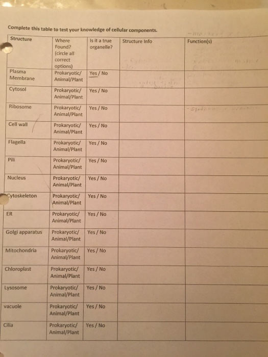 Solved Complete this table to test your knowledge of | Chegg.com
